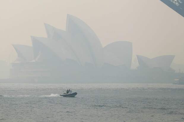 Пара из Сочи гуляла на пляже в Сиднее за пару минут до теракта