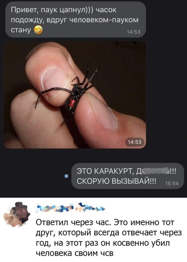kartinok-prikolnyh-podborka-kartinki-smeshnye-kartinki-fotoprikoly