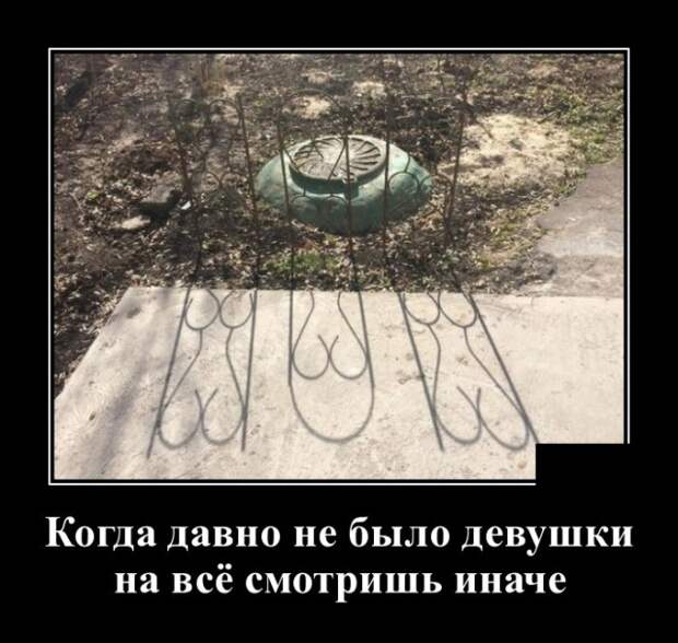 Демотиваторы (30 фото)