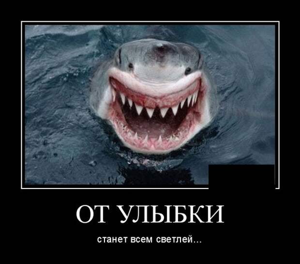 Демотиваторы (20 фото)