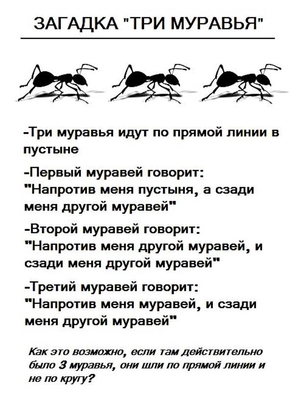 Картинки с надписями, истории и анекдоты