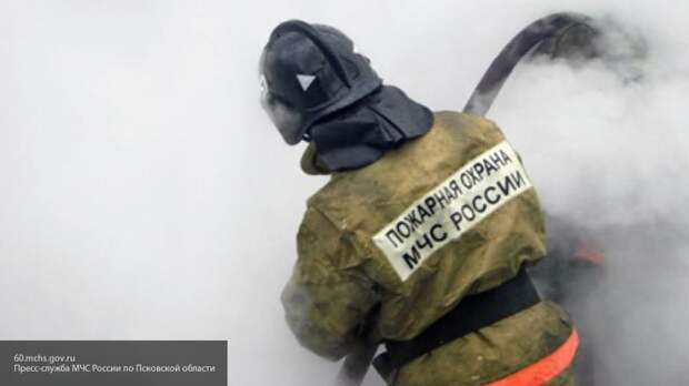 Один человек погиб в пожаре на химическом заводе под Нижним Новгородом