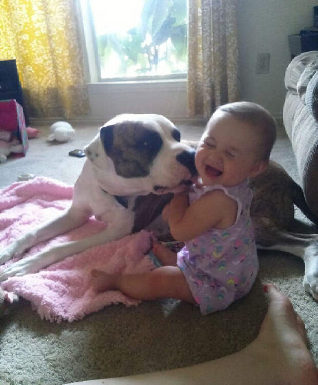This About Sums Up The Relationship Of My Daughter And Dog