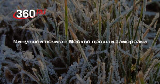 Синоптик Тишковец: ночью в Москве и Подмосковье были отмечены заморозки