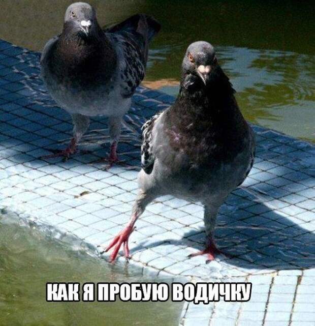 Позитивный пост+68