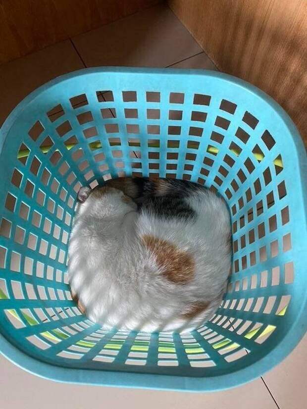 Рай для перфекционистов на идеальных снимках