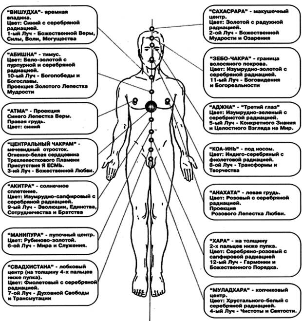 Каналы энергии человека. 12 Чакровая система человека схема. Энергетические+чакры+человека+схема. 12 Энергетические тела и чакры человека. Схема энергетических каналов и чакр человека.