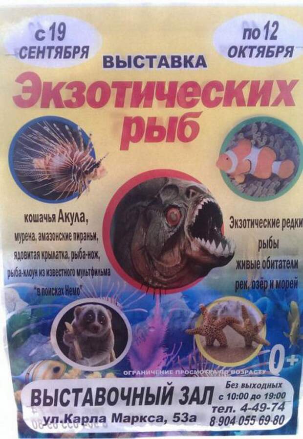 Прикольные надписи и объявления