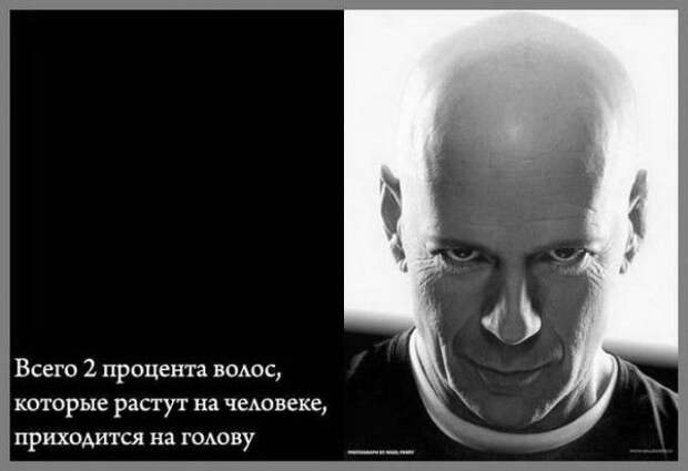 Подборка интересных фактов для Вашего мозга (15 картинок) Подборка интересных фактов для Вашего мозга (15 картинок)