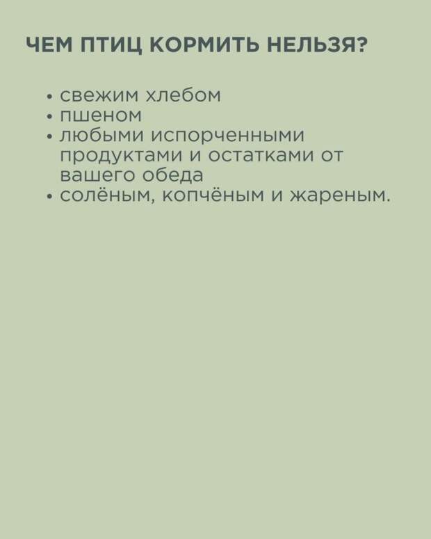 Как изготовить кормушку для птиц своими руками