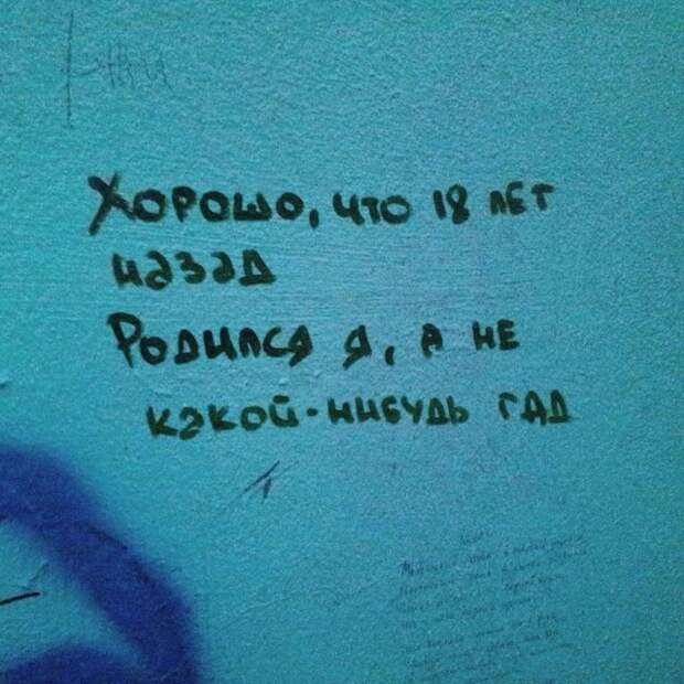 Вся правда на стене прикол, своими руками, сделай сам, юмор