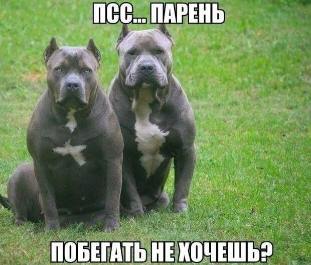 ВИннЕГРЕТ 67 ВИннЕГРЕТ 67
