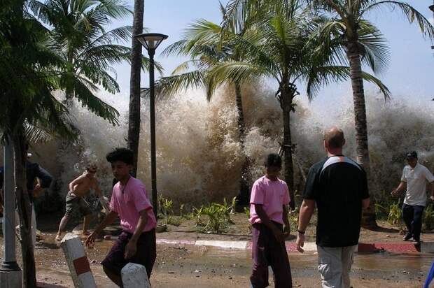 Гигантские приливные волны, вызванные подводными землетрясениями, одно из самых страшных стихийных бедствий в современной истории.