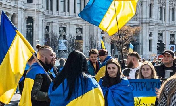 Власти Австрии и Германии опубликовали информацию о количестве мужчин призывного возраста среди украинских беженцев