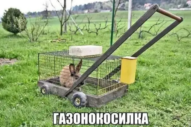 - Роза Марковна, а шо такое любовь?  - Ой, Софочка, всё просто...