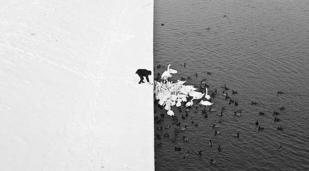 1sthalf1322 1sthalf1322 Впечатляющие фотографии первой половины 2013 года