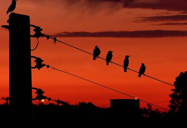 В Калуге почти две тысячи жителей остались без электричества