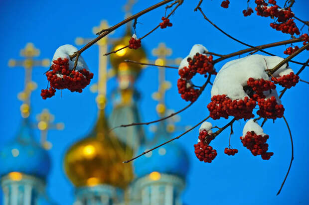 13 января православные чтят память Паисия Святогорца