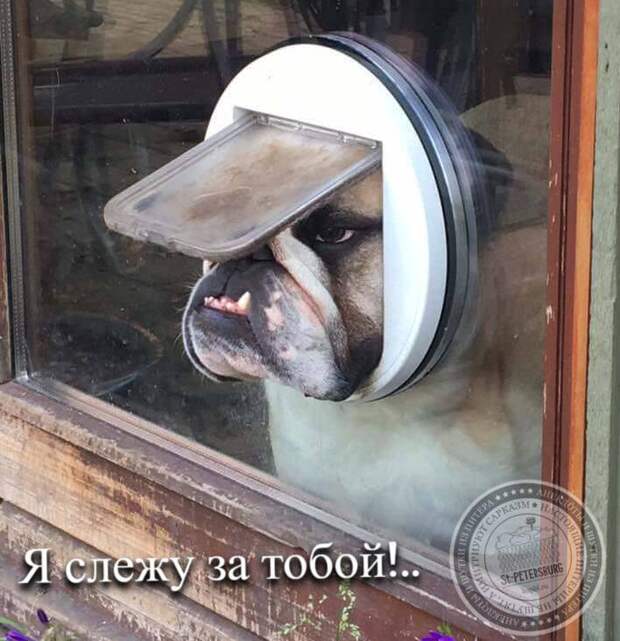 Я слежу за тобой!..