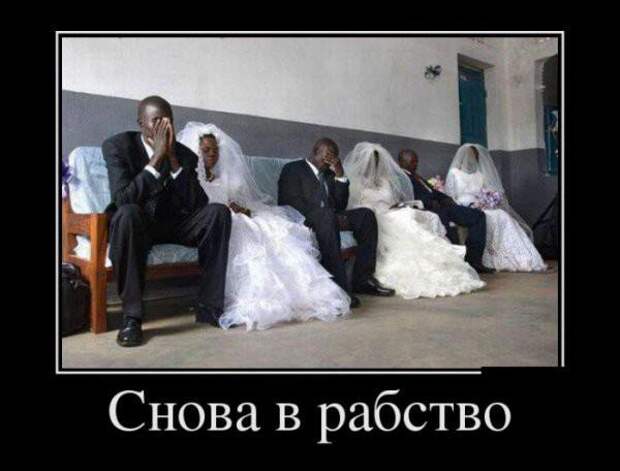 Свадебные демотиваторы (25 фото)