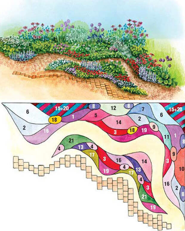 Волны цветников. План цветника. Ландшафтный план цветника.