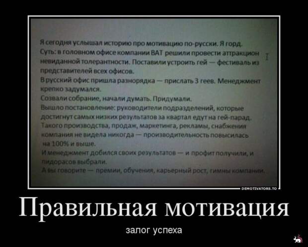 Блоги.  -  