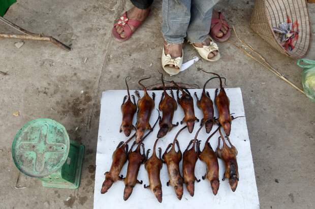 in-canh-nau-vietnam-rats-were-once-eaten-as-a-last-resort-in-cases-of-extreme-hunger-but