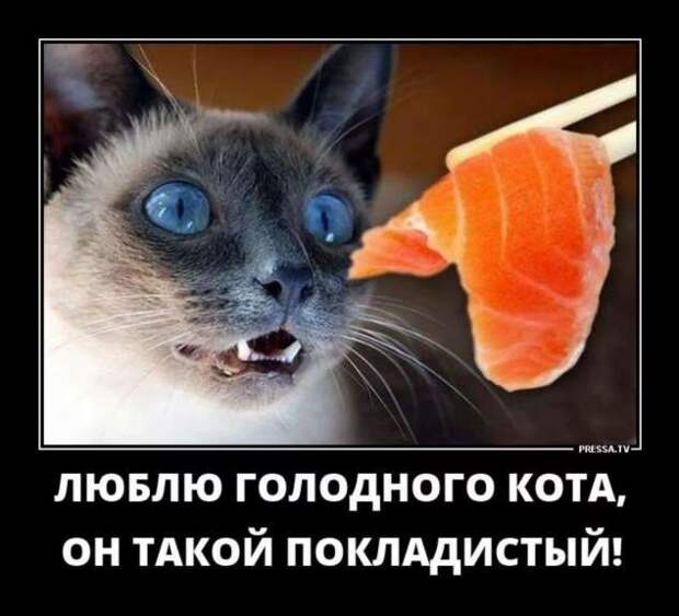 Прикольные демотиваторы с надписями. Подборка chert-poberi-dem-chert-poberi-dem-45530230052020-5 картинка chert-poberi-dem-45530230052020-5