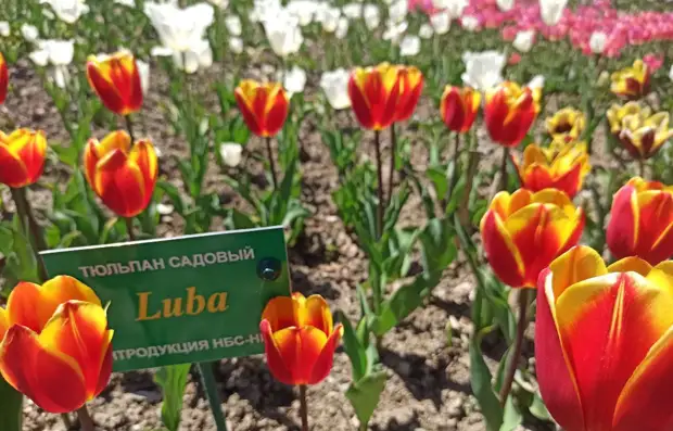 РИА ФАН/Дарья Сергеева