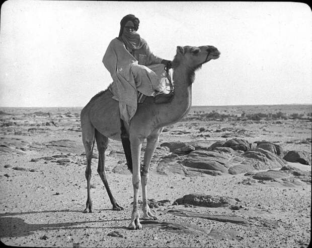 Житель народа группы берберов в Мали. Житель народа группы берберов в Мали.