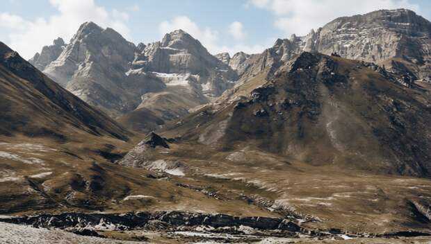 Ovis argali Алтая