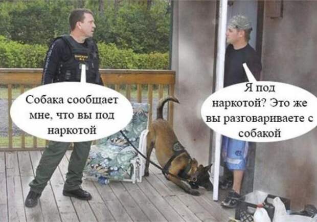 Смешная галерея фотоприколов # 81