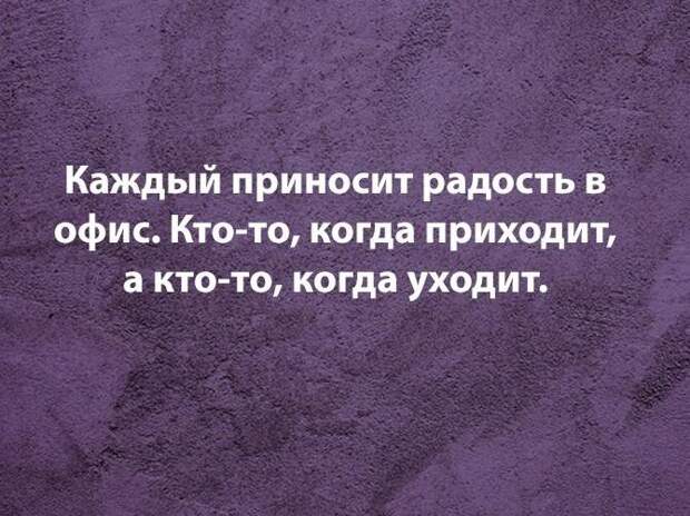 Смешные фразы и шутки про работу на картинках