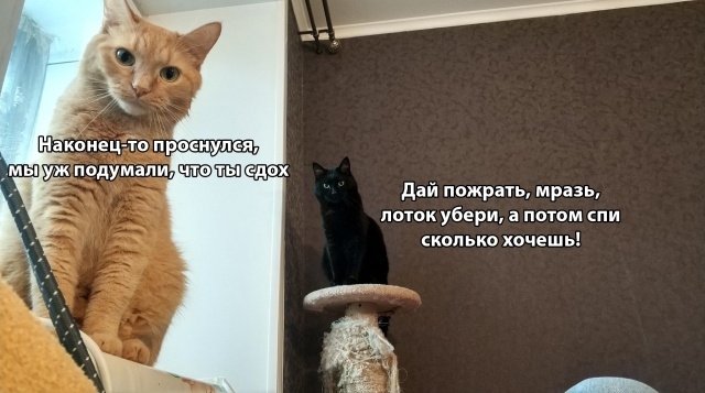 Подборка прикольных картинок