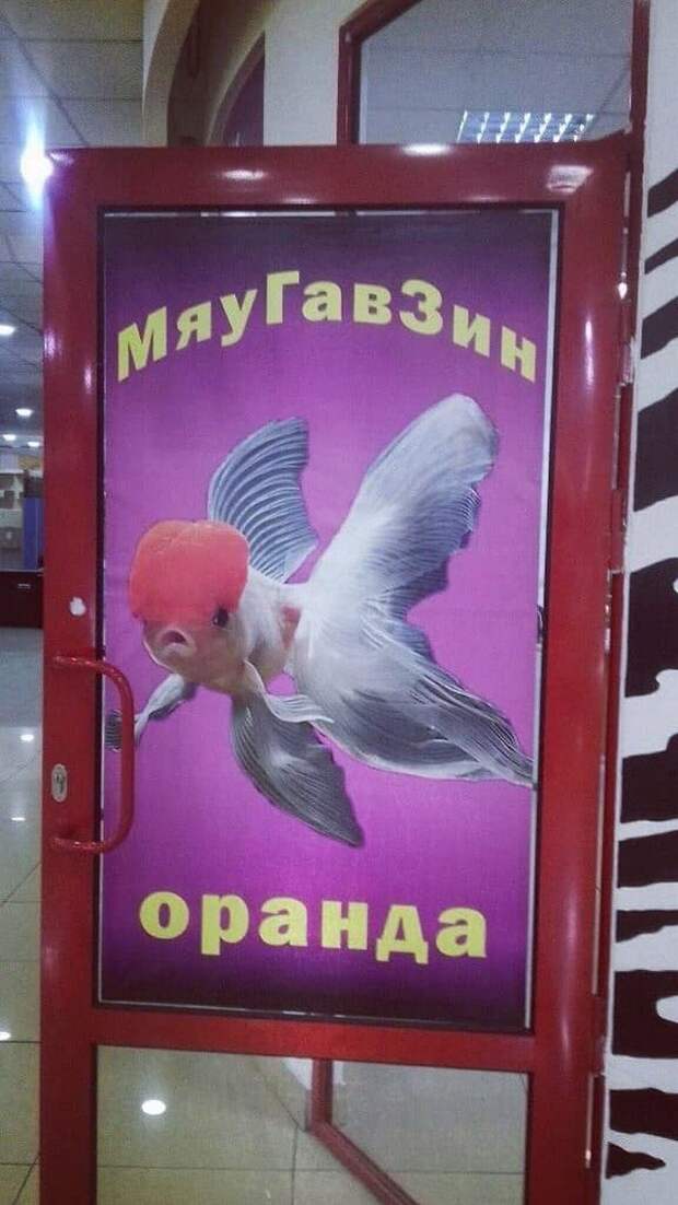 Шедевры дизайна с просторов интернета