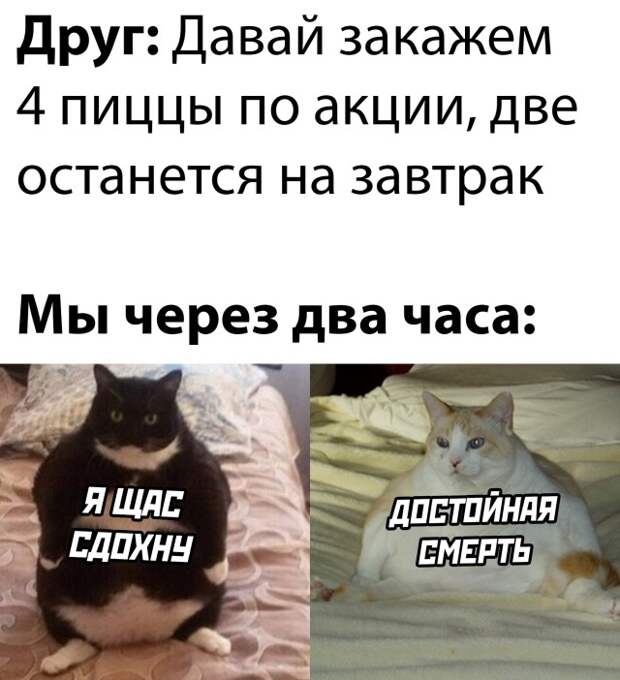 Смешные картинки 3 ноября 2021 года