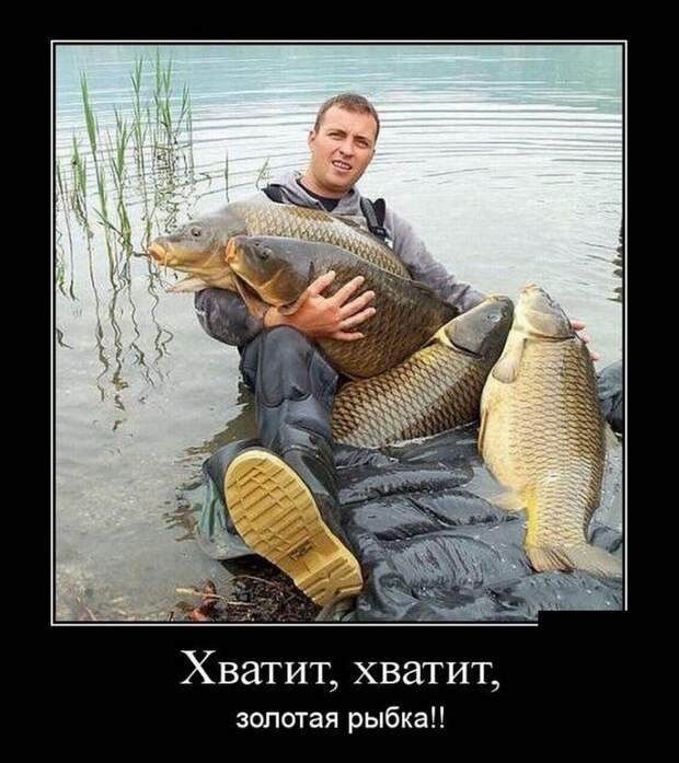 30 демотиваторов на вечер понедельника