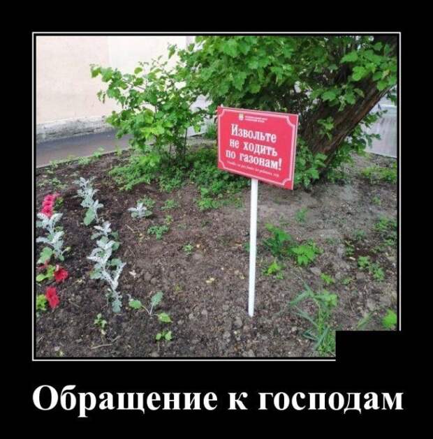 demotivatory-demotivator-smeshnye-demotivatory-demotivator-so-smyslom