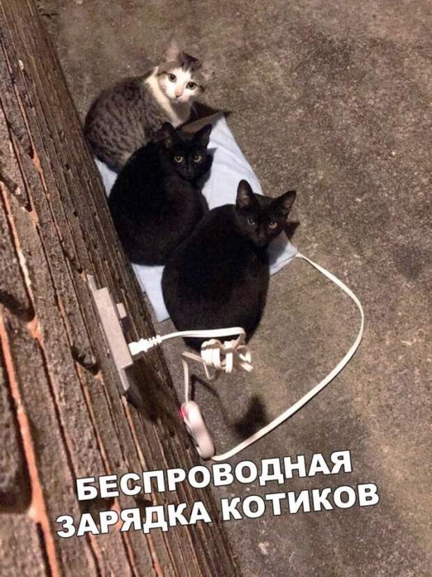 www.vsyako.net