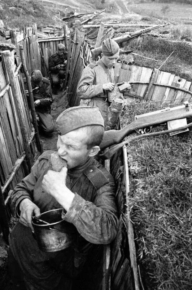 Советские солдаты отделения старшего сержанта И.Ф. Васькина обедают на оборудованных позициях Великая Отечественная Война, архивные фотографии, вторая мировая война