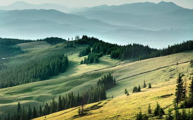 3180456_Krasivo (700x437, 248Kb)
