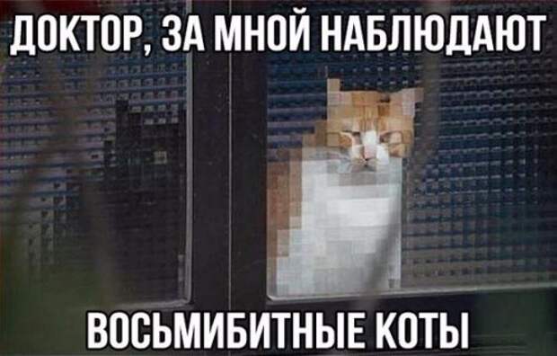Прикольные фотомемы (25 шт)