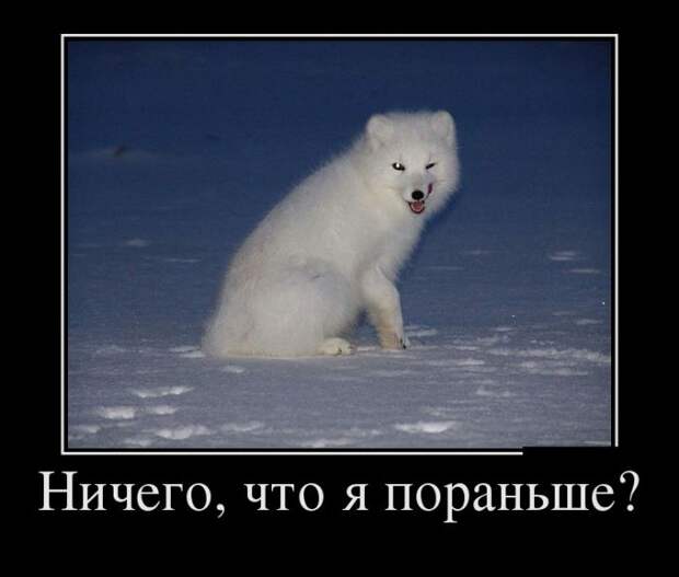 Демотиваторы (30 фото)