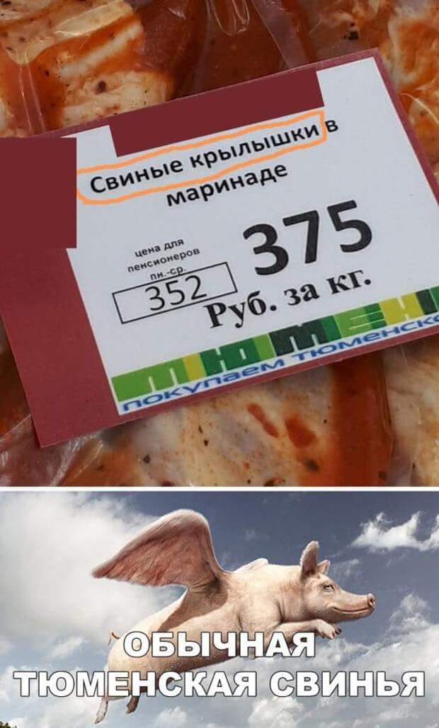 За деньги можно купить любую собаку - но не виляние ее хвоста За деньги можно купить любую собаку - но не виляние ее хвоста