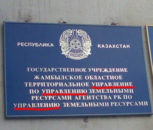 Картинки, юмор, приколы