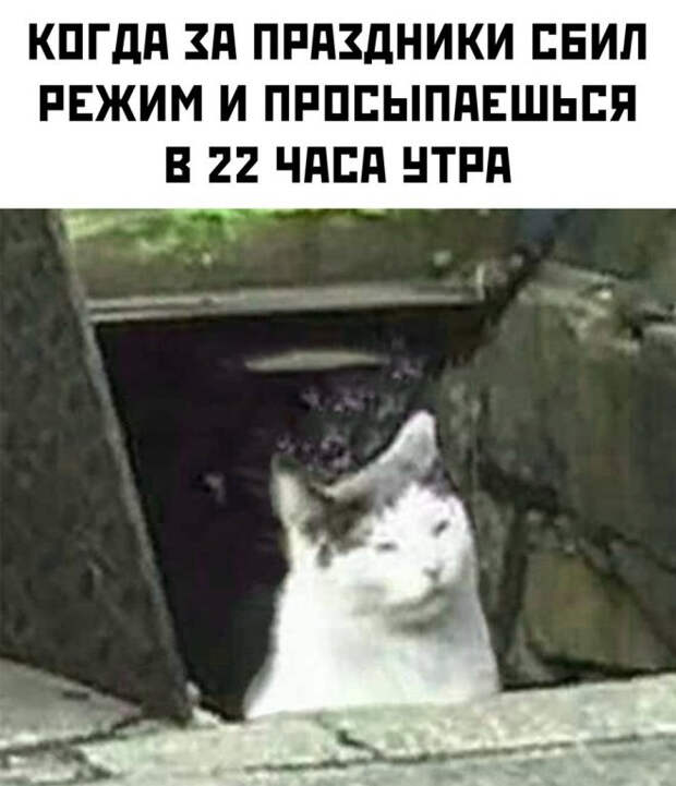 мем