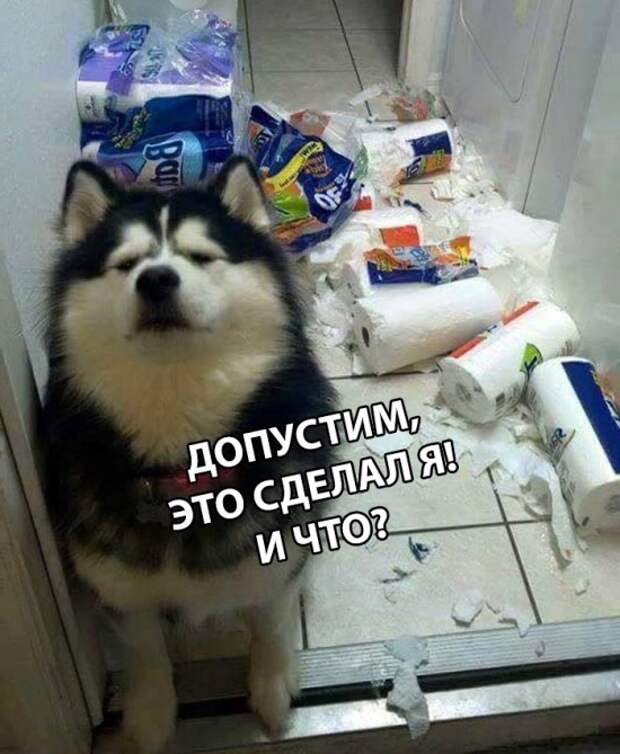 Подборка картинок (21 фото)