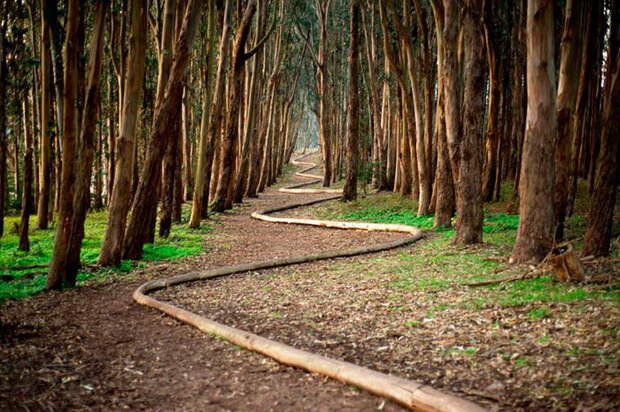 Природный арт Andy Goldsworthy Природный арт Andy Goldsworthy