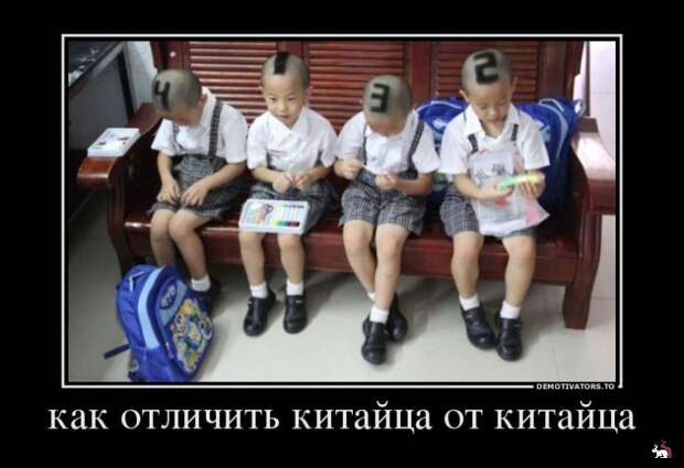 Блоги.  -  