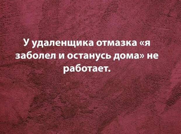 Смешные фразы и шутки про работу на картинках